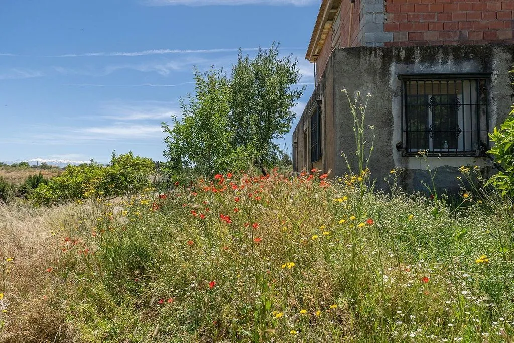 Jardin - Rustic Chalet with Terrace in Moraleda de Zafayona