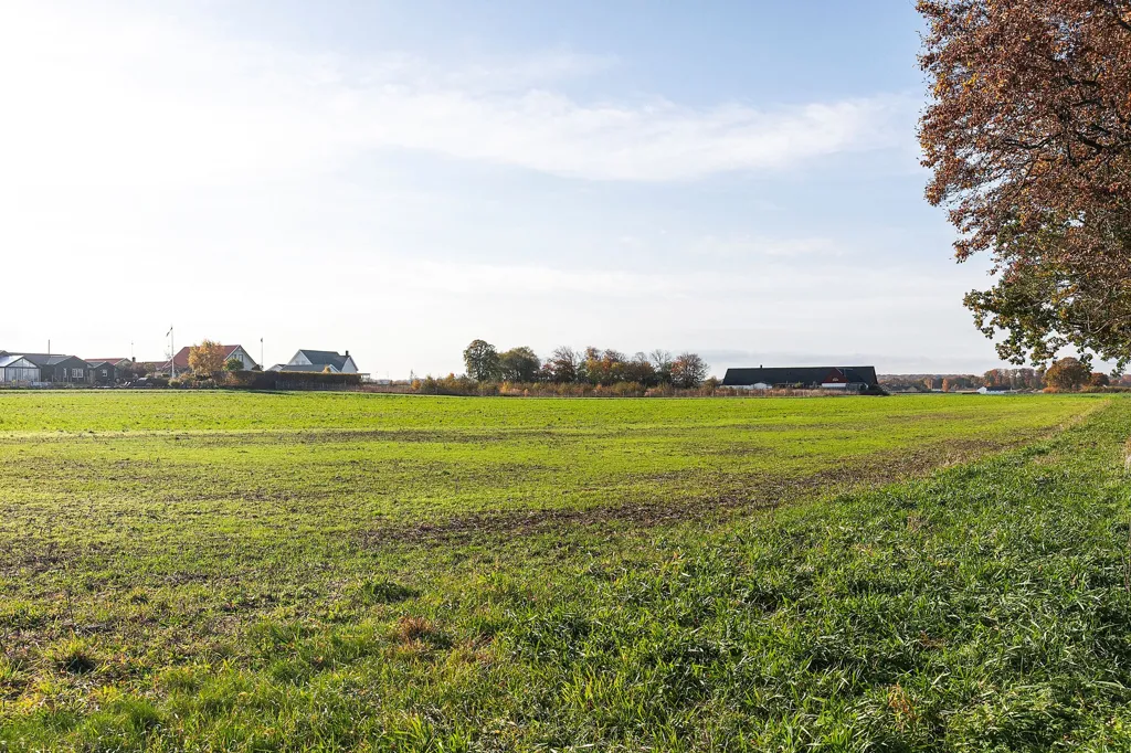 Jardin - 1-Plan Villa with Solar Panels in Fleninge