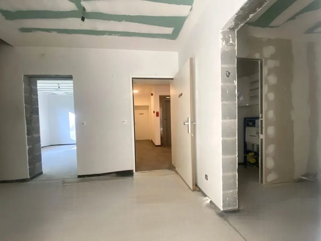 Toad - Luxury Duplex with Terrace in Spa