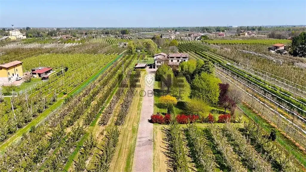 Õhuvaade - Trifamily Villa with Private Park in Vignola