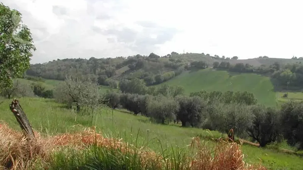 Jardin - Rustic House with Large Garden in Senigallia