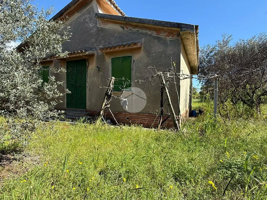Extérieur - Rustic House with Large Garden in Corigliano-Rossano