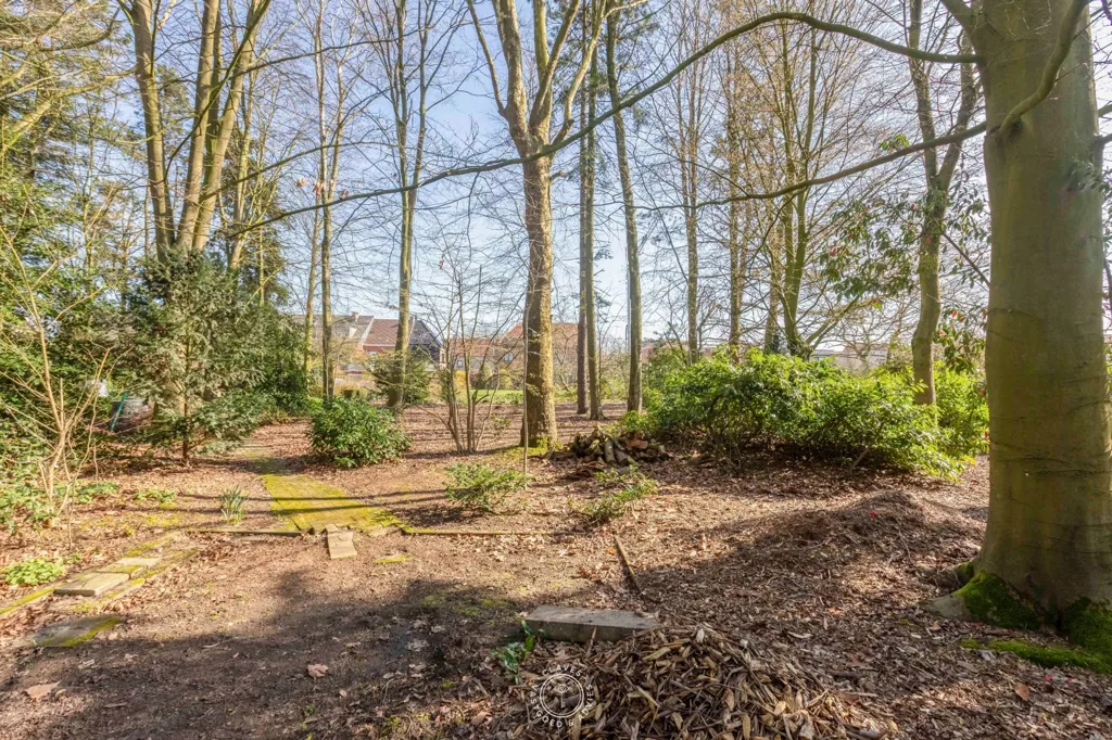 Garden - House with Enchanting Garden in Sint-Niklaas