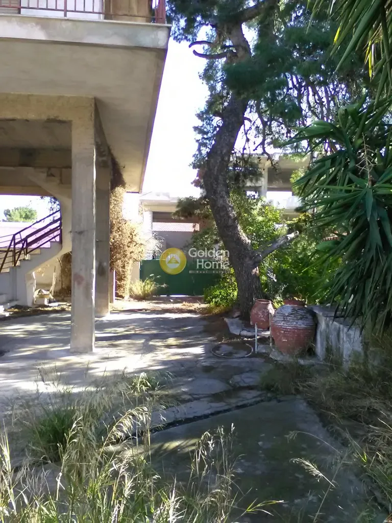 Jardin - Detached House with Garden in Aspropyrgos Centre