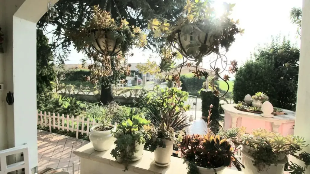 Terrace - Rustic Villa with Garden in Cesena