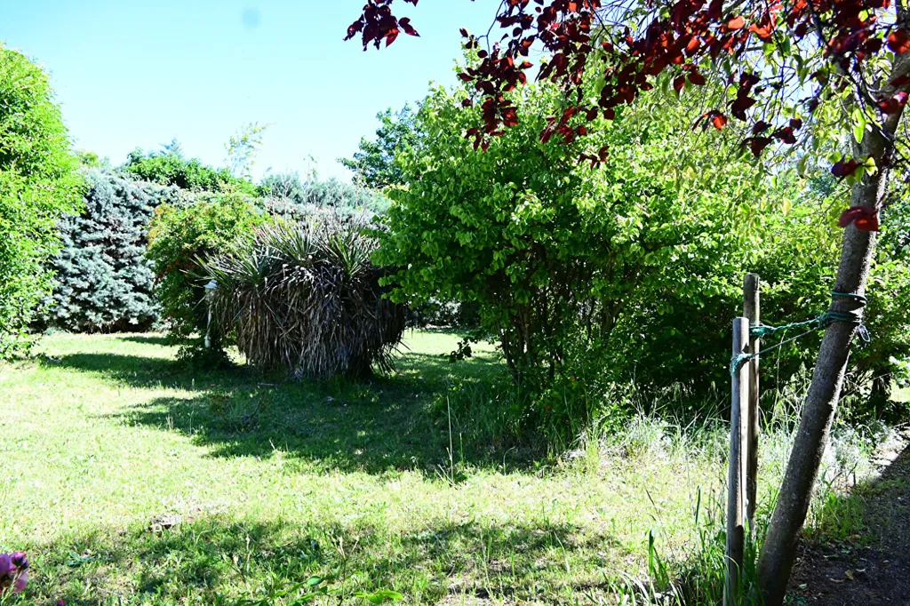 Jardin - Maison Provençale avec Piscine à Aubignan