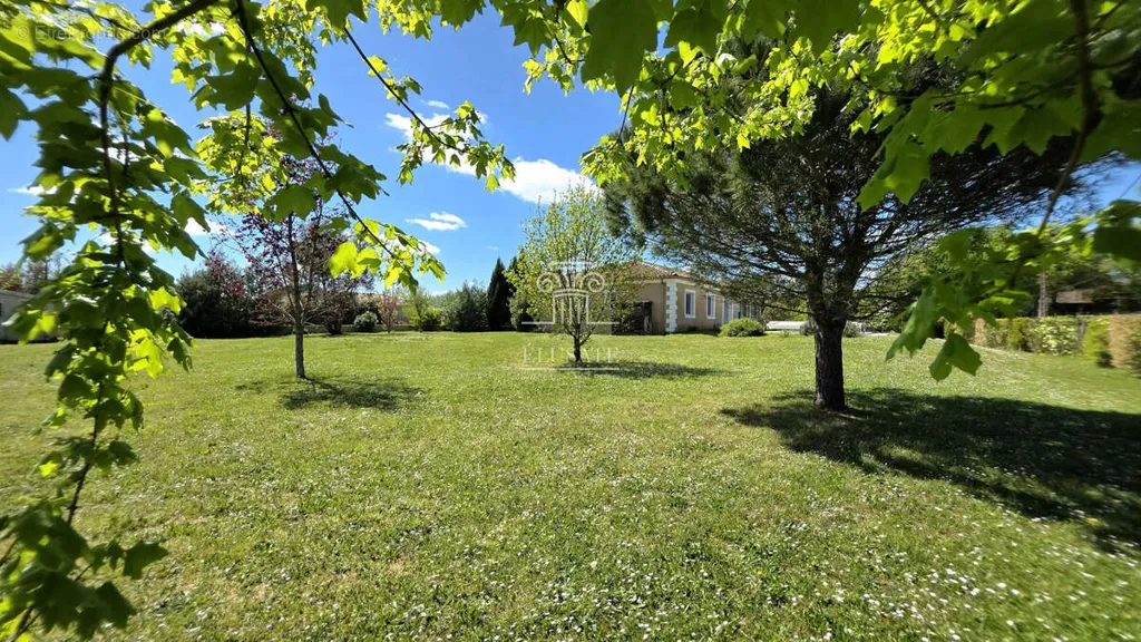 Aed - Modern Villa with Pool in Eauze