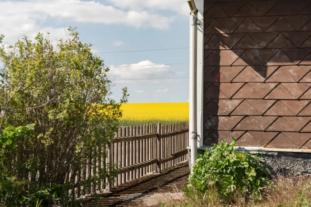 Extérieur - Charming Cottage with Garden in Järrestad