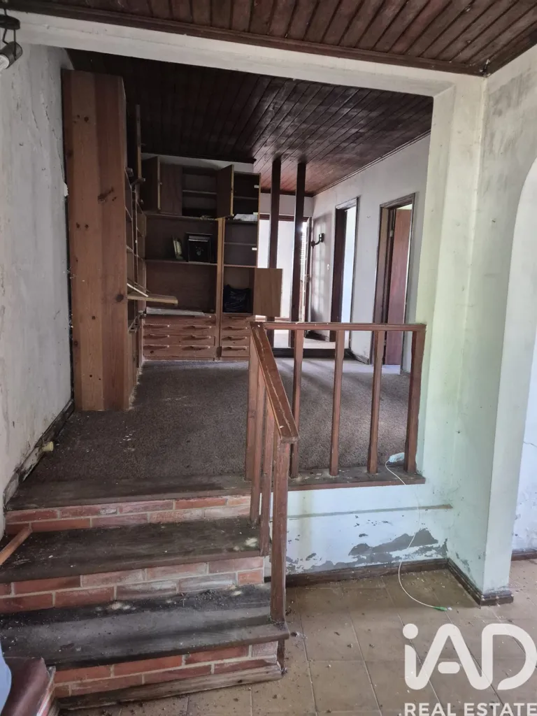 Toad - Quinta with Potential in Central Viseu