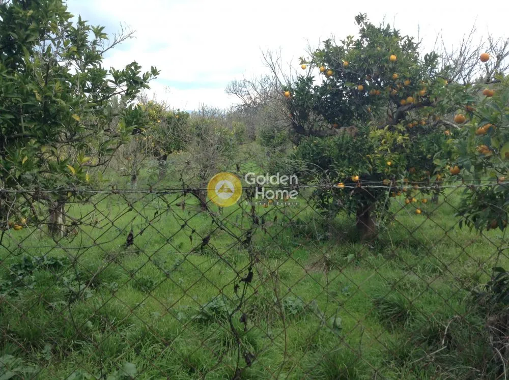 Aed - Plot with Sea View in Agio-Temeni
