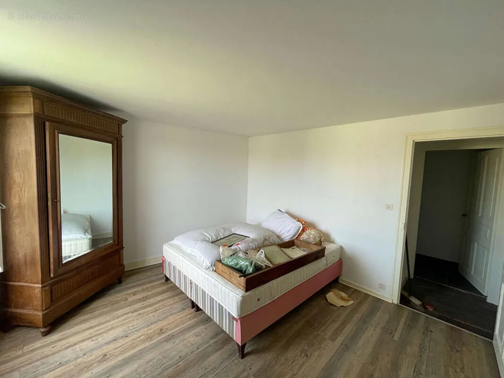Magamistoad - Historic House with Large Garden in Videix