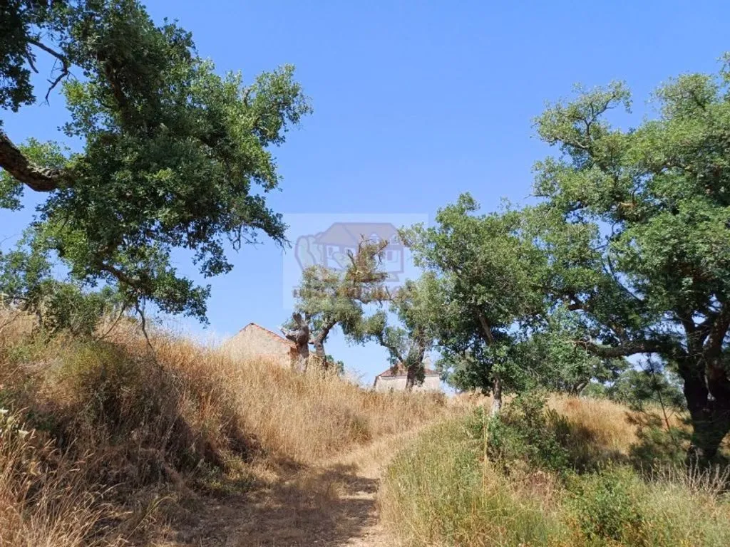 Garden - Development Land with Mountain Views in Grândola