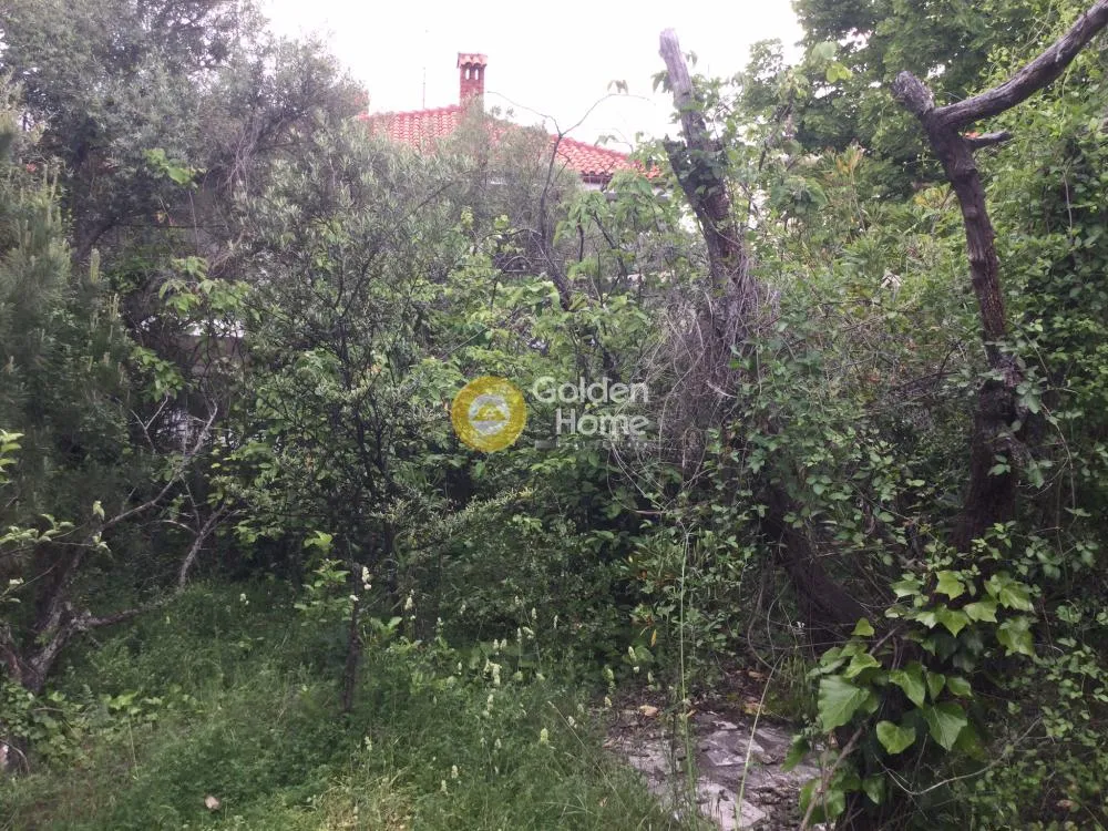 Aed - Buildable Plot with Mountain View in Peuka Centre