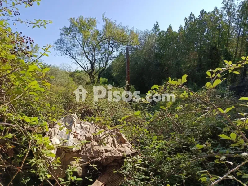 Aed - Rustic Finca with Garden near Càlig