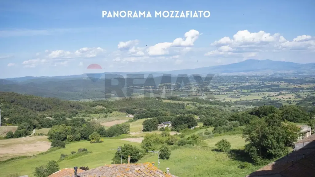 Terrasse - Rustic Trilocale with Countryside View in Roccastrada