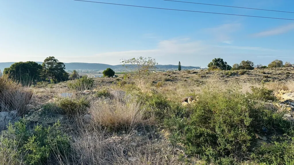 Giardino - Rustic Land with Potential in Bacarot