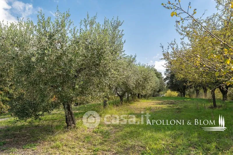 Jardin - Rustic Farmhouse with Pool in Montepulciano