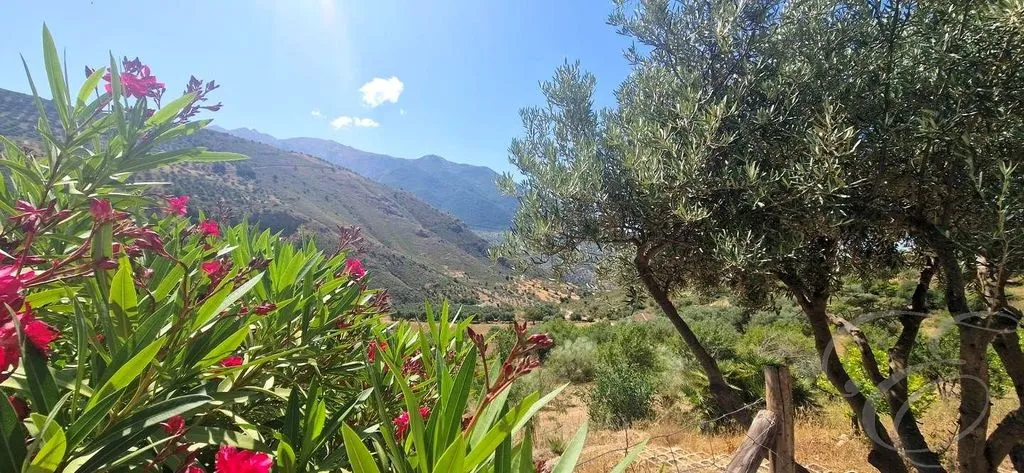 Garden - Detached Country House with Pool in Alcaucín