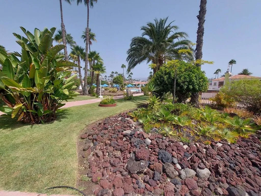 Aed - Bungalow with Pool on Tjaereborg Avenue