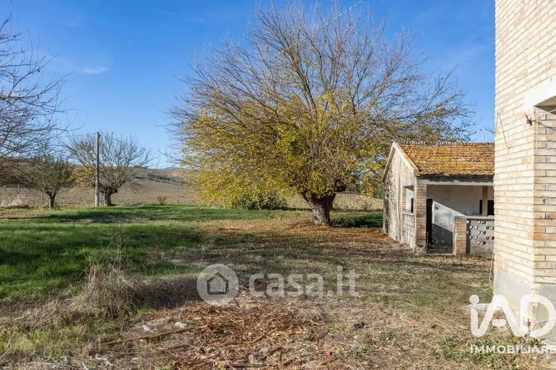 Giardino - Traditional Rustico with Olive Trees in Appignano