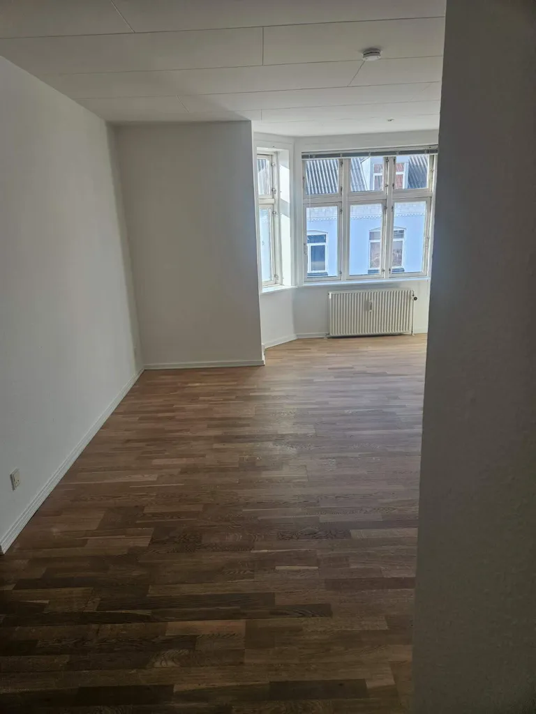 Toad - Three-Bedroom Flat in Skive