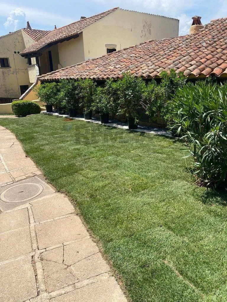 Aed - Timeshare Apartment with Patio in Costa Smeralda
