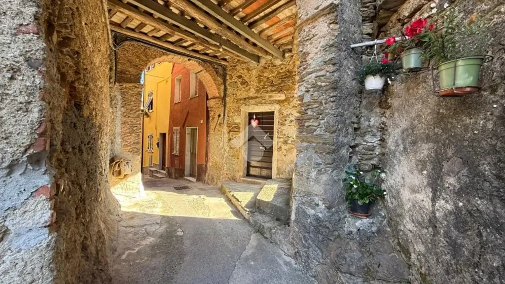Jardin - Rustic Terraced House with Mountain View in Massa