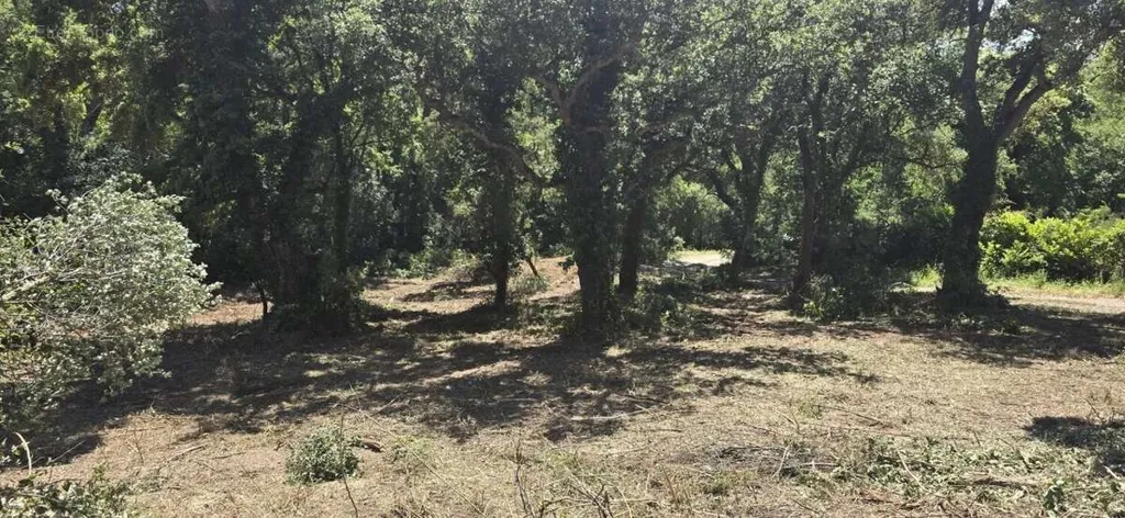 Garden - Buildable Land with Viability in Prunelli di Fiumorbo