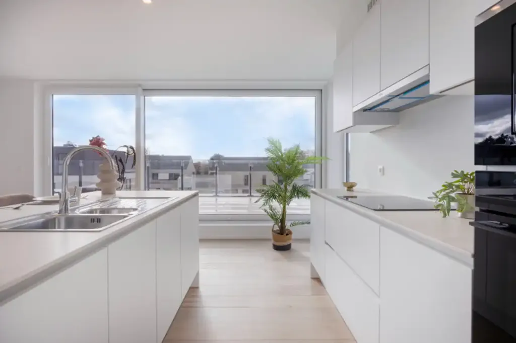 Kitchen - Apartment with Private Terrace in Denderleeuw