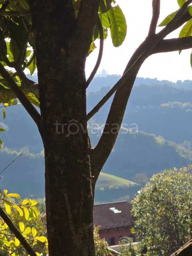 Rustic Farmhouse with Vineyard View in Gassino Torinese