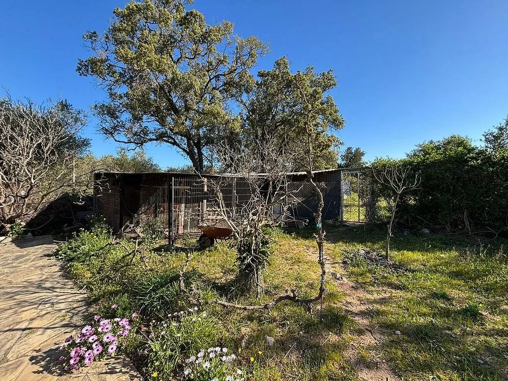 Jardin - Rustic Cottage with Mediterranean Garden in Mont-Roig