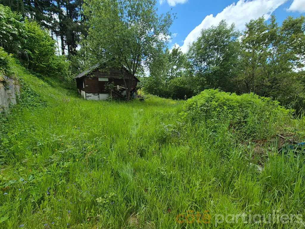 Jardin - Terrain avec Chalet à Rénover au Lac de Pont-de-Salars