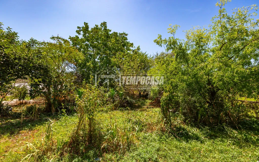 Garden - Rustic Country House with Garden in Narzole