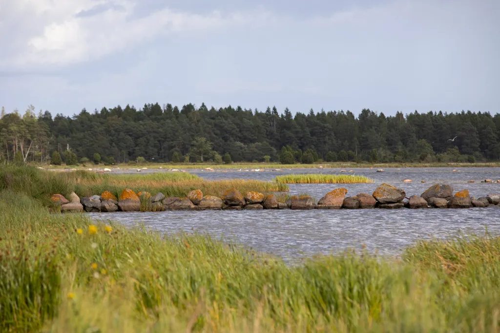 Plot with Sea View in Boge Friggars