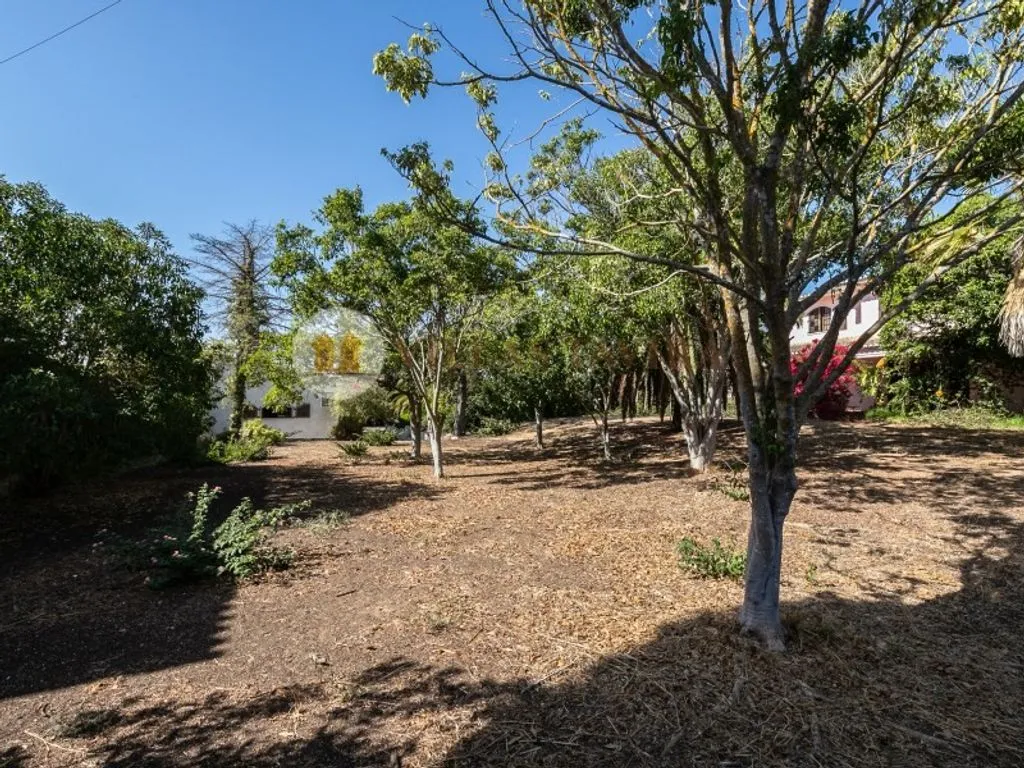 Aed - Luxury Detached House with Private Pool in Castro Marim