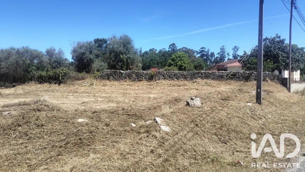 Rural Land with Expansion Potential in Tondela
