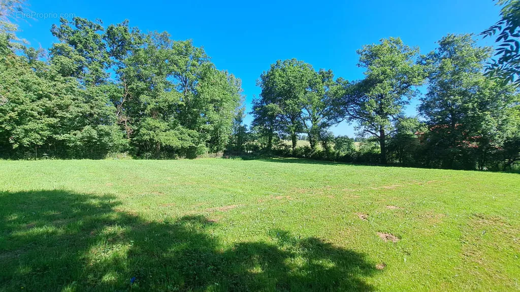 Jardin - Terrain à Bâtir Arboré à Charbonnières-les-Vieilles
