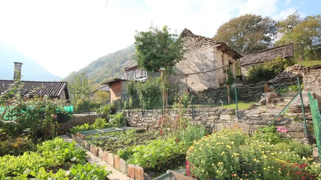 garden