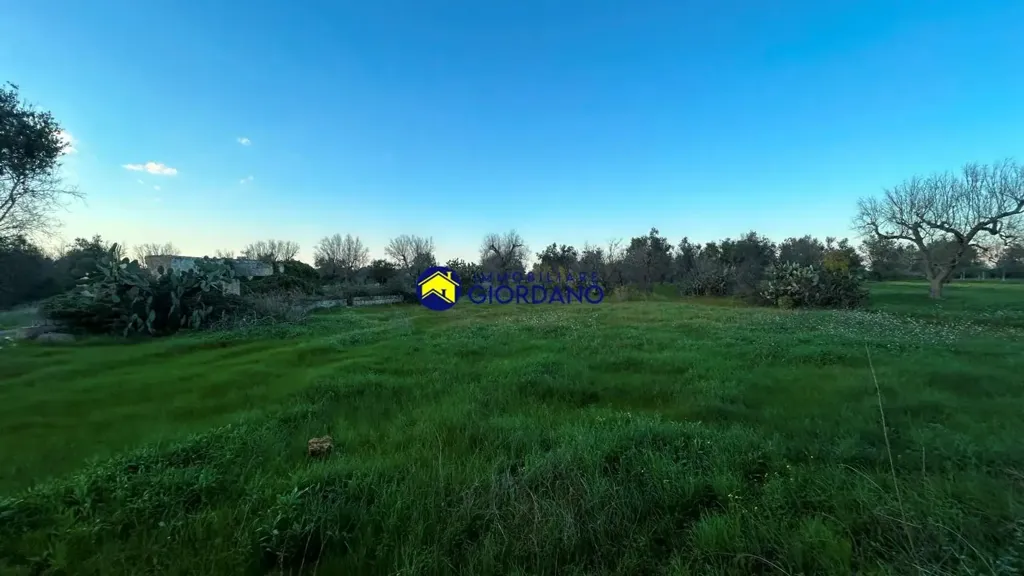 Garden - Rustic Property with Garden in Squinzano
