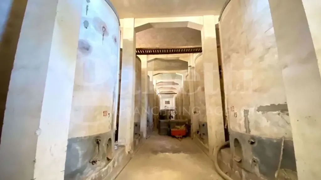 Toad - Rustic Warehouse with Sicilian Courtyard in Pachino