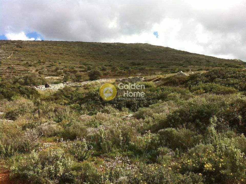 Aed - Agricultural Plot with Sea View in Paros