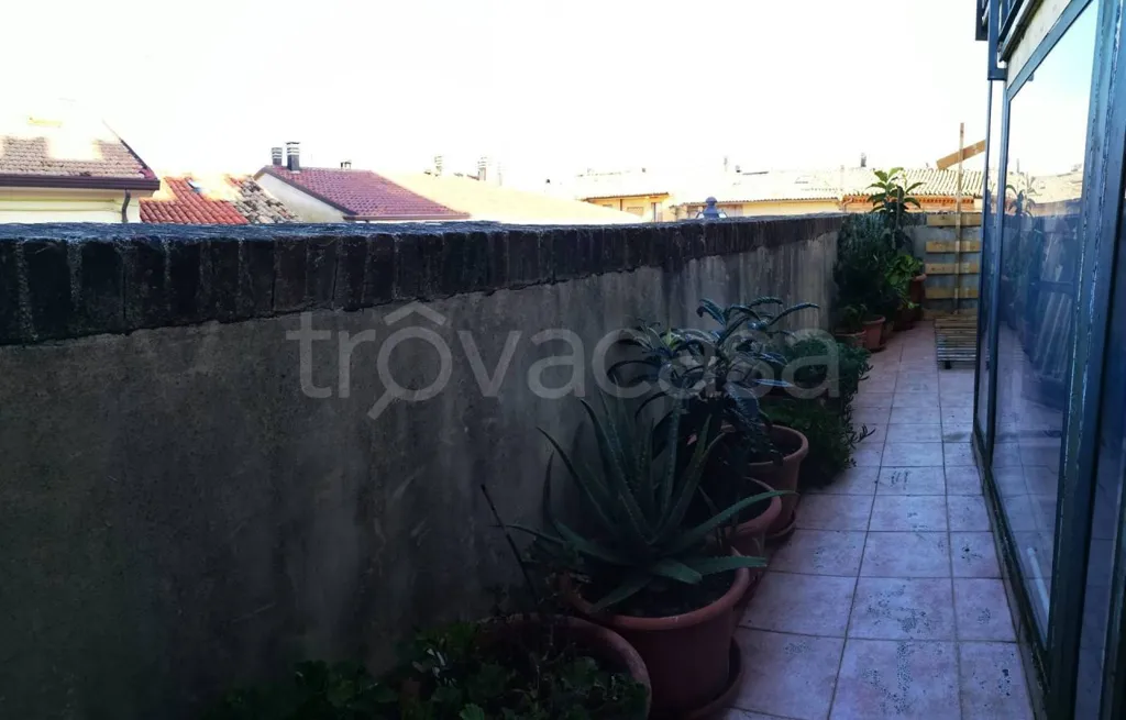 Terrace - Rear Terrace House in Tavoleto