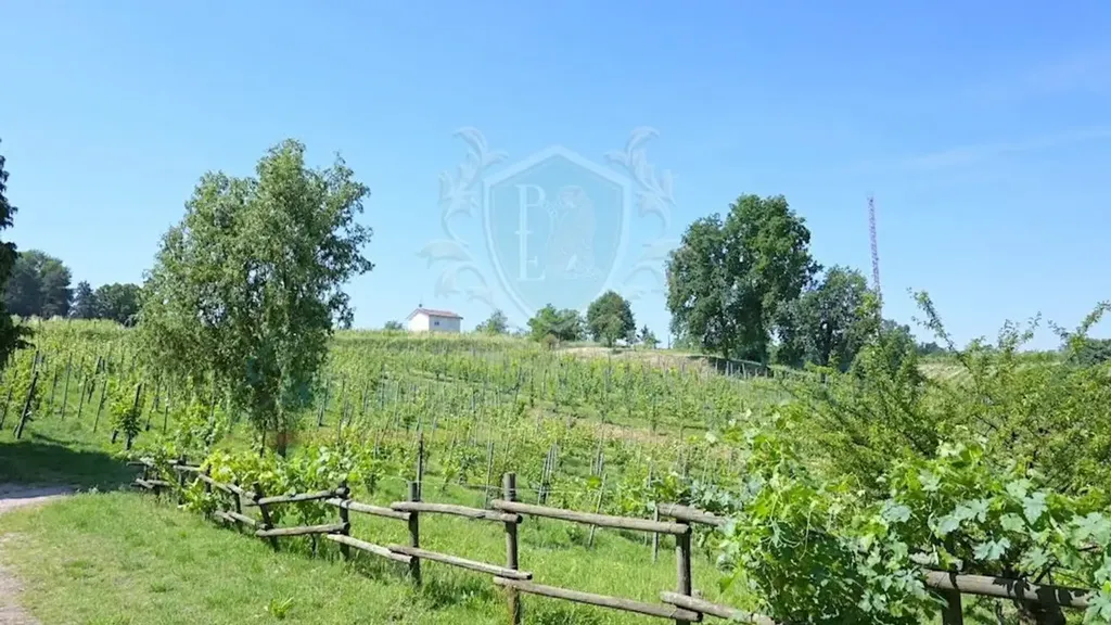 Giardino - Historic Villa with Vineyard View in San Colombano