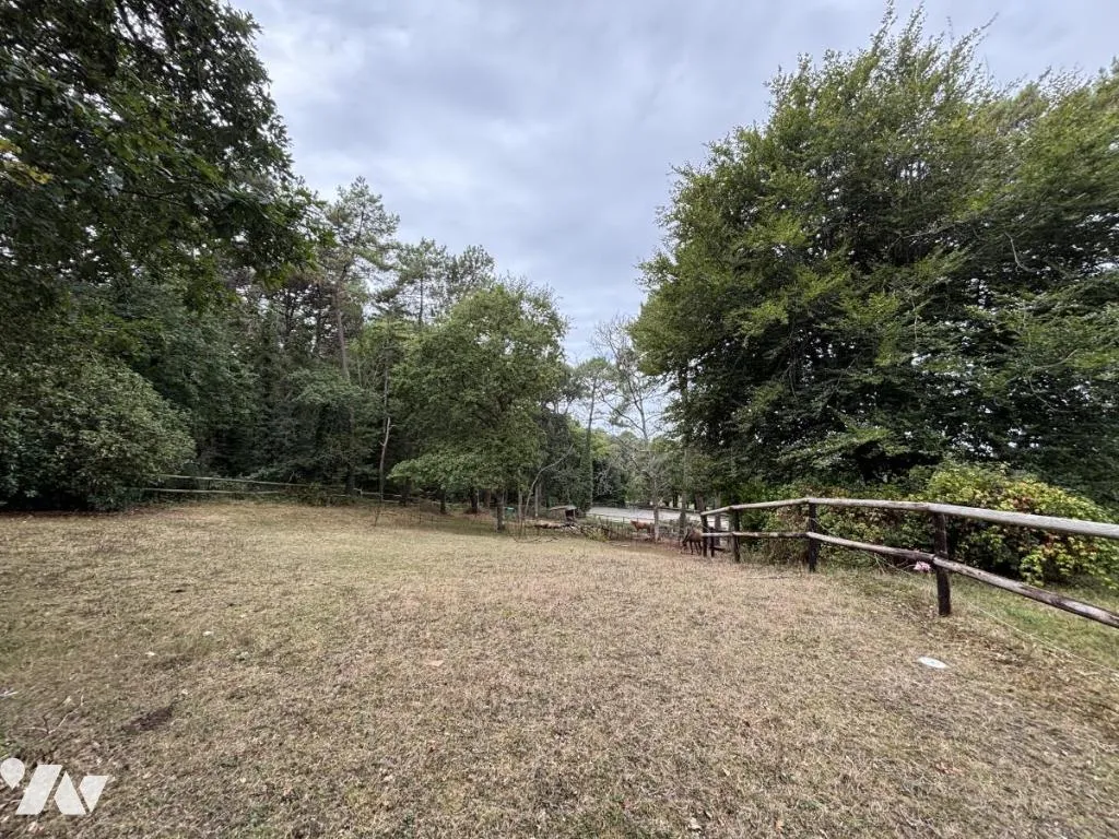 Giardino - Architectural House with Equestrian Facilities in Ploemeur