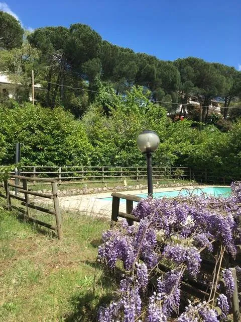 pool_area