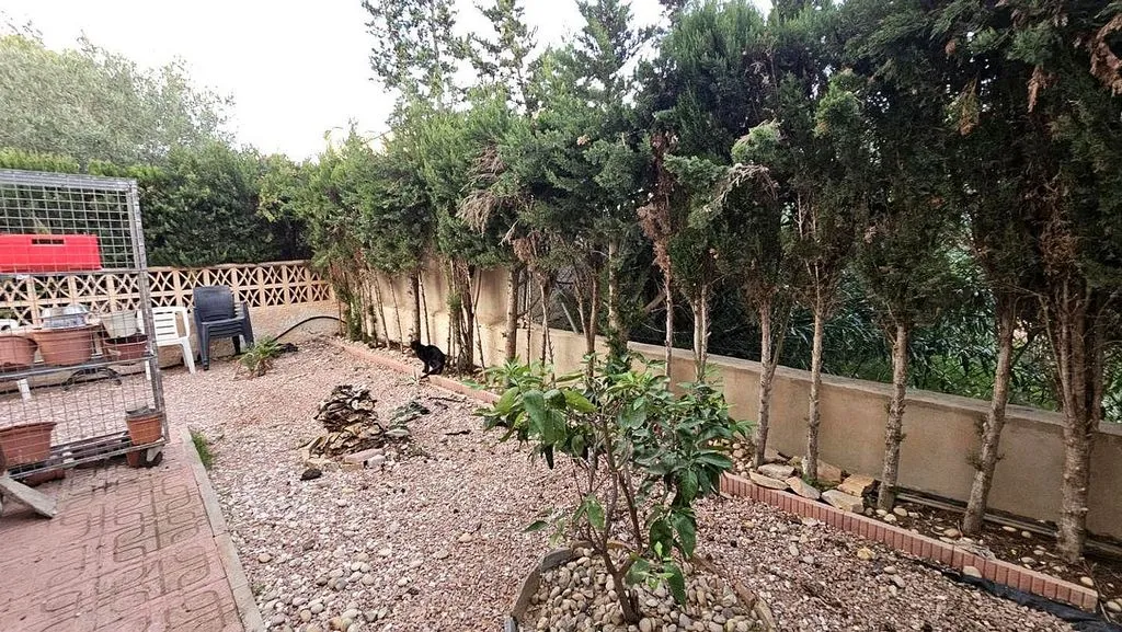 Jardin - Chalet with Pool and Terrace in Ciudad Quesada