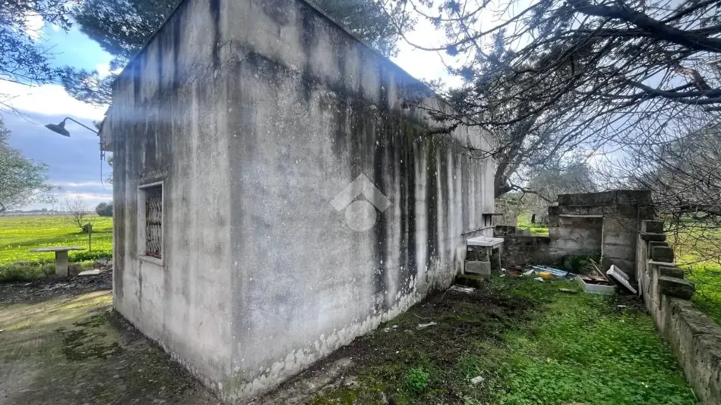 Exterior - Rustic Villa with Garden in Mesagne