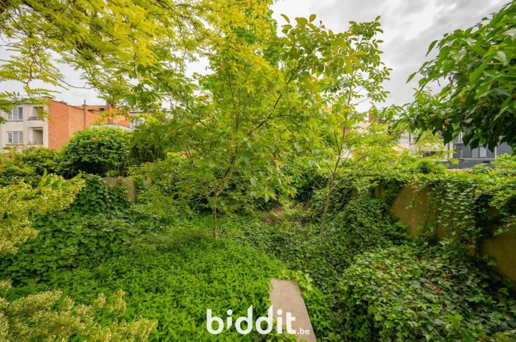 Garden - Spacious House with Garden in Louvain