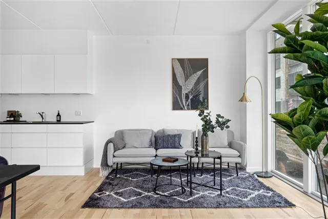 Séjour - Apartment with Balcony in Skovlunde