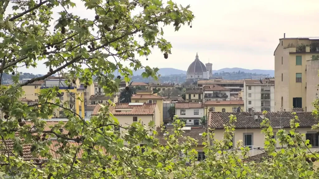 Rusticated Apartment with Panoramic View in Florence